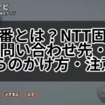 116番とは?NTT固定電話の問い合わせ先・携帯からのかけ方・注意点